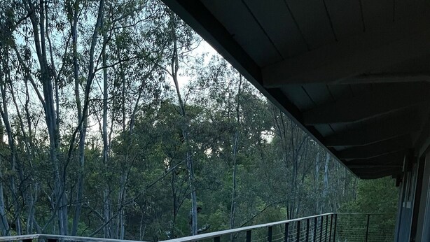 A wooden deck with a cushioned seating area, a metal railing, and a view of a forested area.