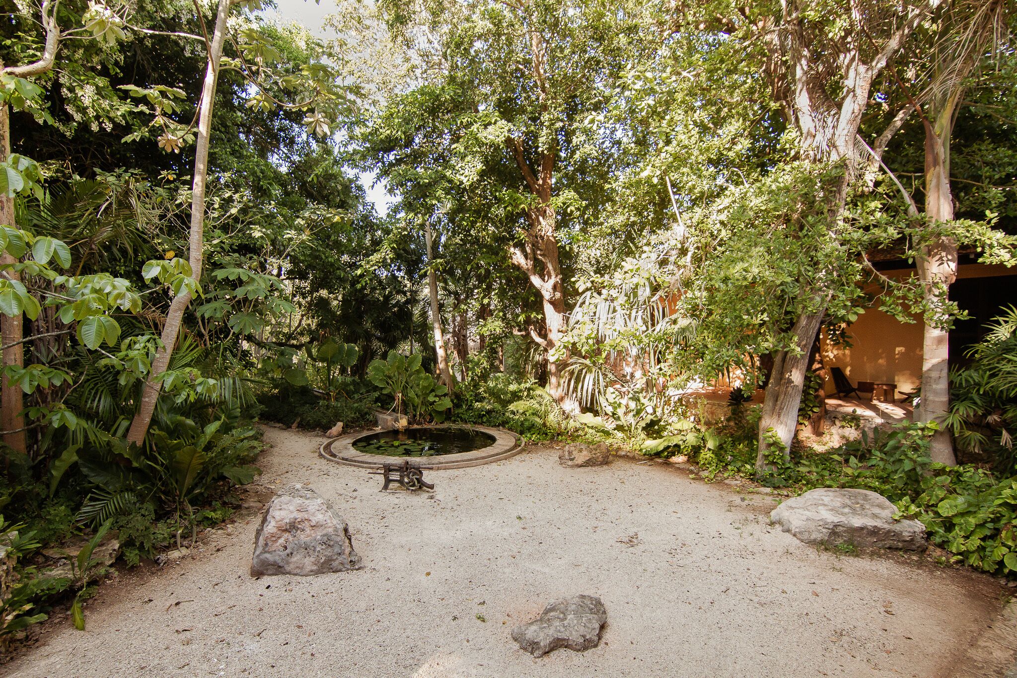 Un jardín con un estanque, rodeado de árboles y rocas.