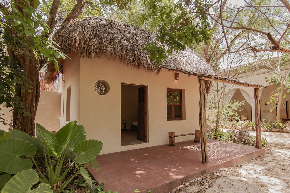 A thatched-roof hut with a door and window, surrounded by greenery and a paved area.