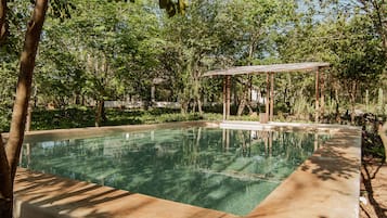 5 albercas al aire libre, acceso de 07:00 a 19:00, y camastros