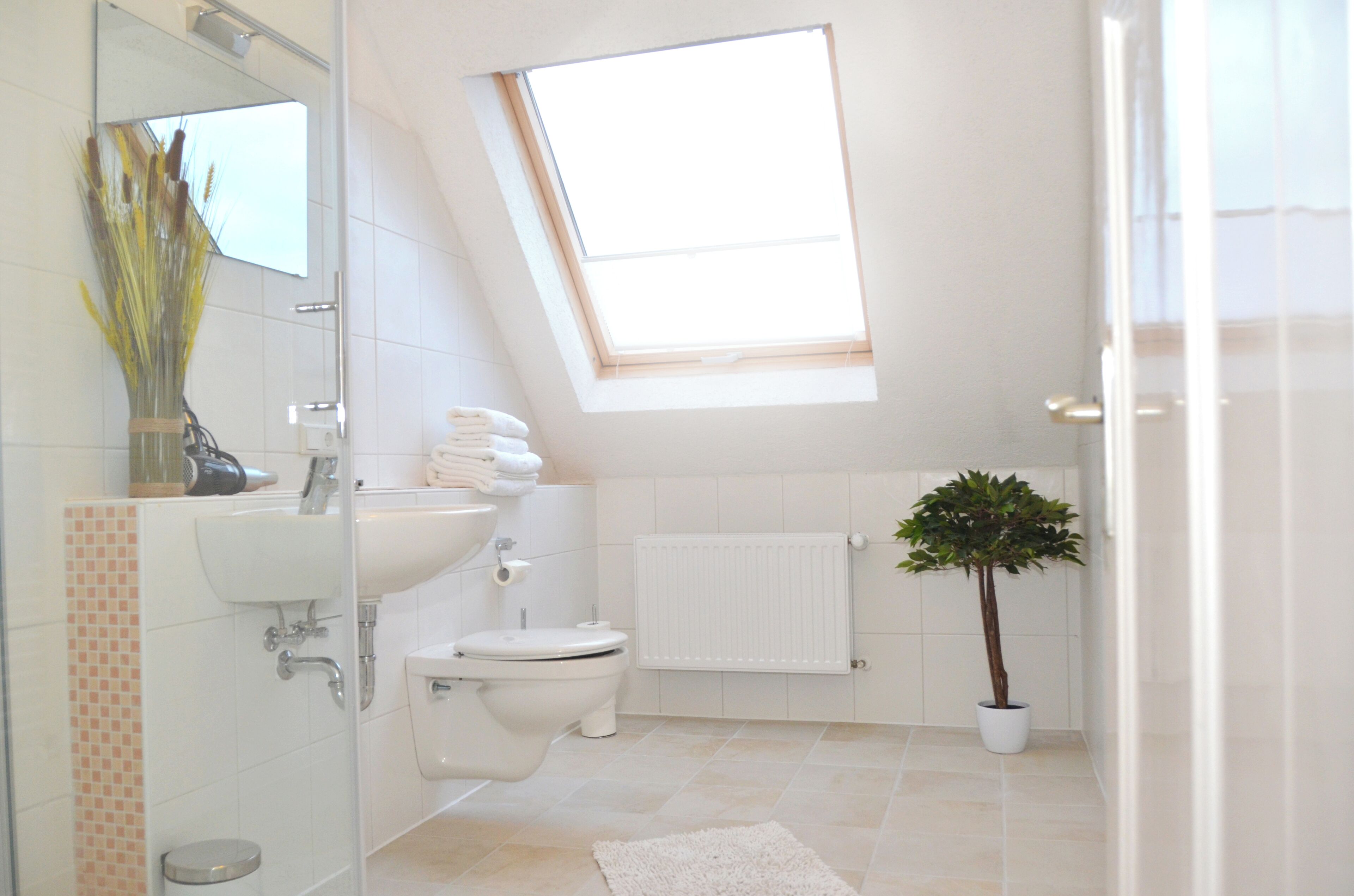 Shower, hair dryer, towels, toilet paper