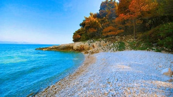 En la playa y camastros