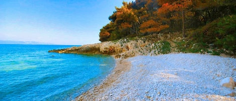 On the beach, sun-loungers