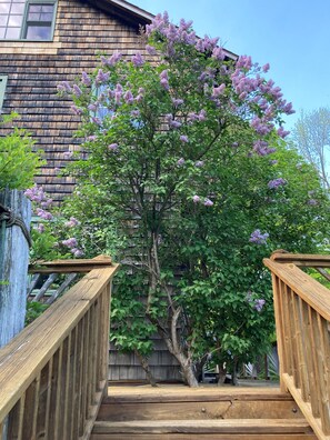 Overnatningsstedets område