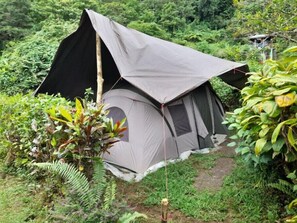 Exterior - 3 Rivers Eco Lodge #5 (Rosalie)