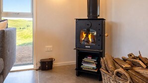 Una habitación con estufa de leña, un sofá, una estantería y vistas al exterior.
