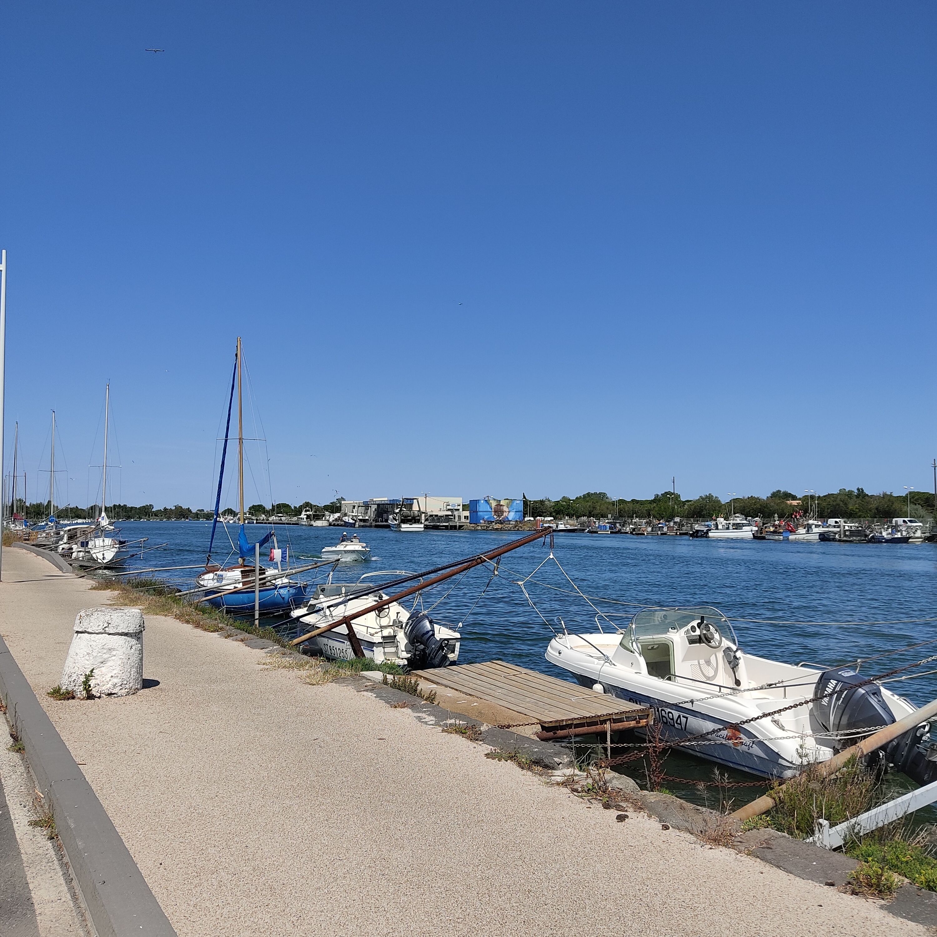 Marina