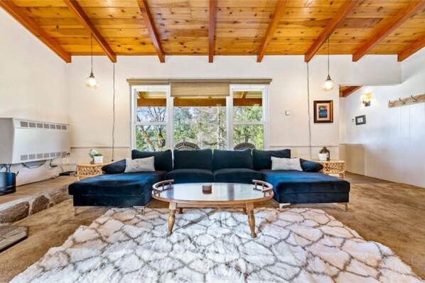 TV, fireplace, books