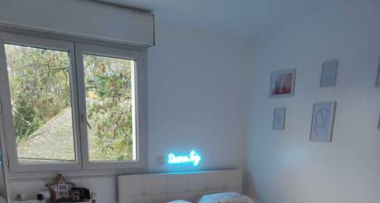 Grande Maison Centre Ville