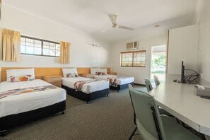 Design Room | 1 bedroom, laptop workspace, iron/ironing board, free WiFi - Landsborough Lodge Motel (Barcaldine)