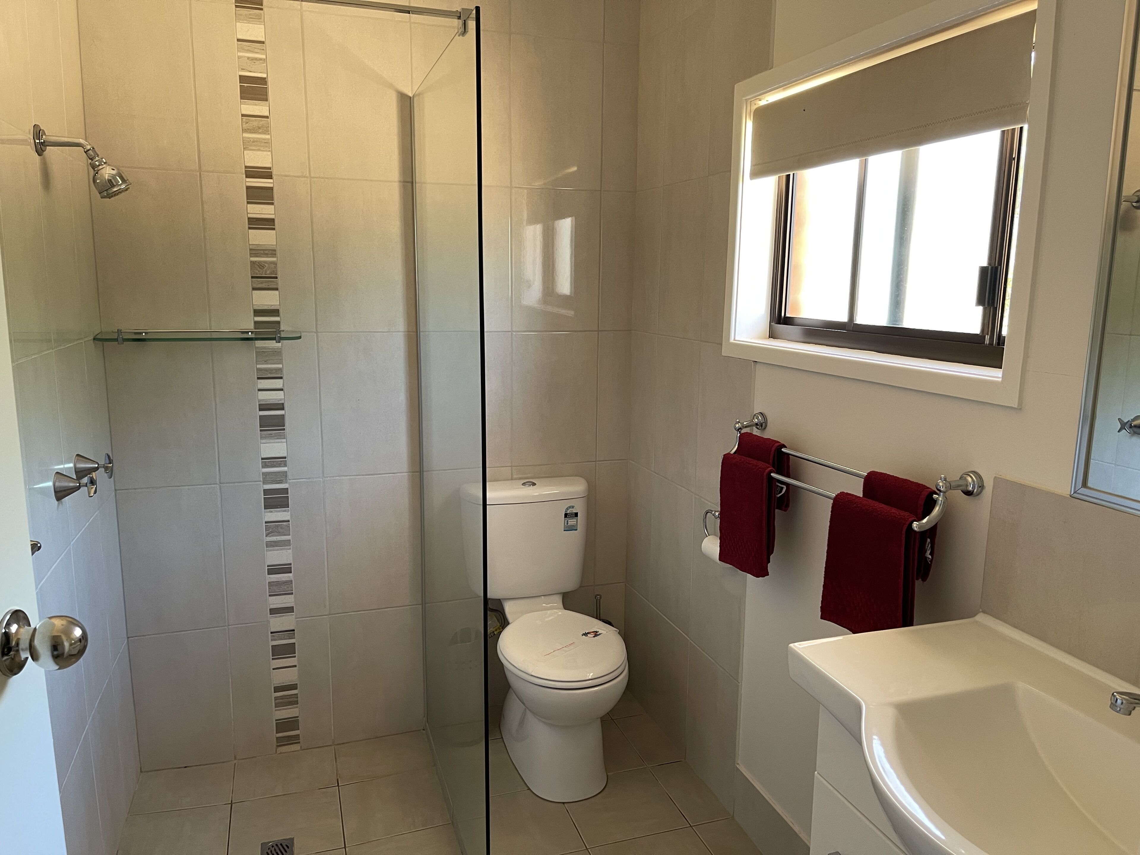 A bathroom with a glass shower enclosure, a toilet, a sink, and a mirror above the sink.