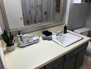 Bathroom features a sink with a large mirror above, accompanied by a potted plant and essentials for a comfortable stay.