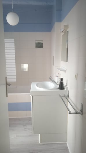 Shower, hair dryer, toilet paper