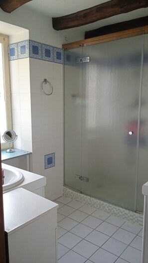 Shower, hair dryer, toilet paper