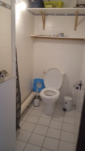 Shower, hair dryer, toilet paper