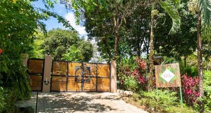 Arbol Verde Villas A