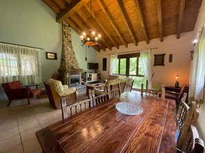 Televisión, chimenea