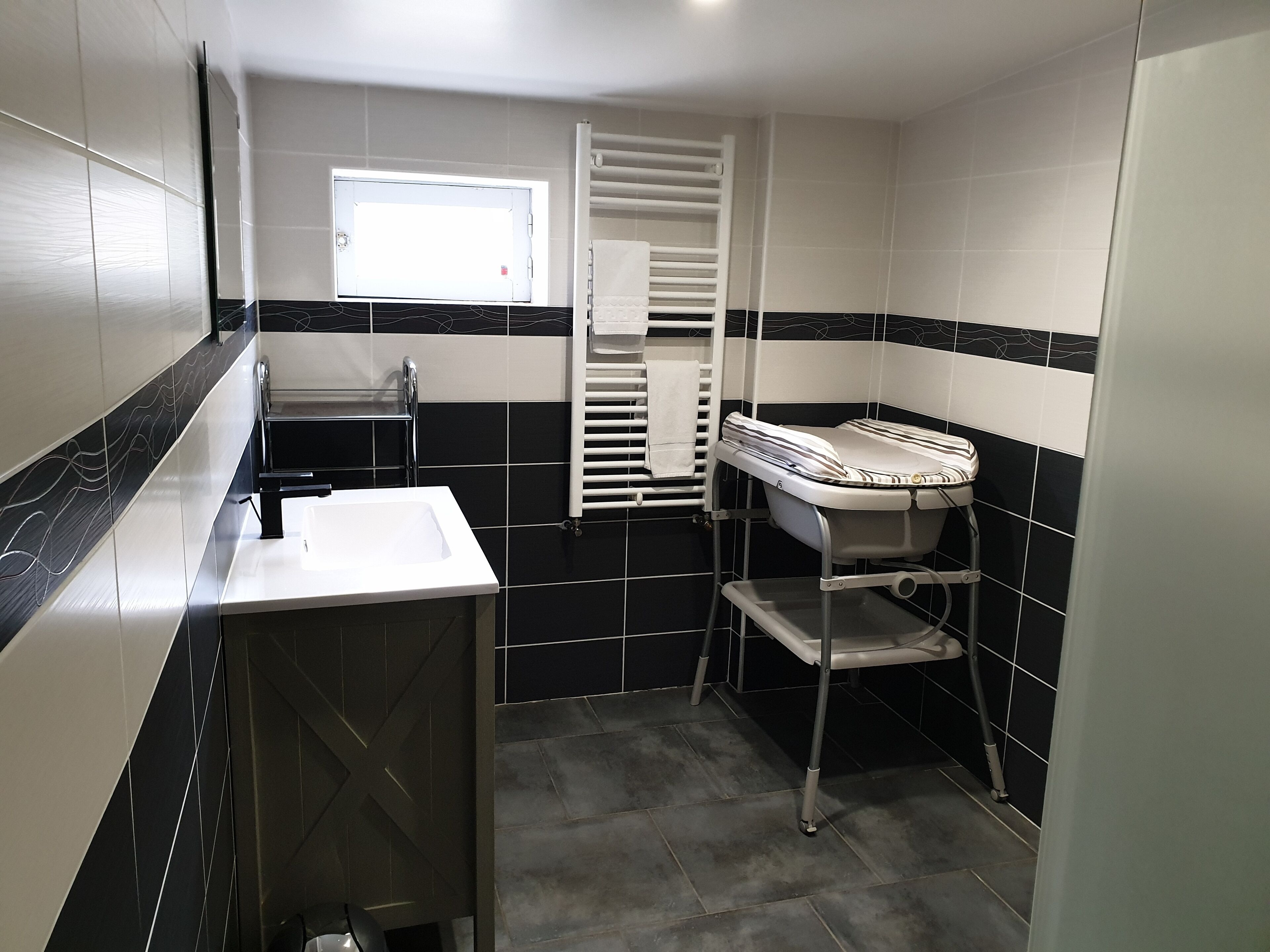 Shower, hair dryer, bidet, towels