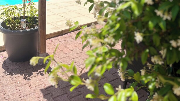 A wooden pergola with a tiled roof, a potted plant, and a view of a swimming pool and garden. - A peaceful haven with swimming pool, 20 minutes from Bordeaux and its vineyards. (TRESSES)