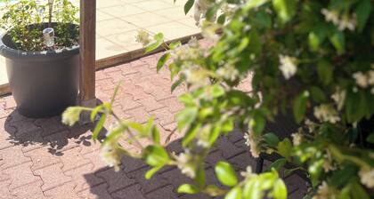 Un havre de paix avec piscine, Ă 20 minutes de bordeaux et de son vignoble .