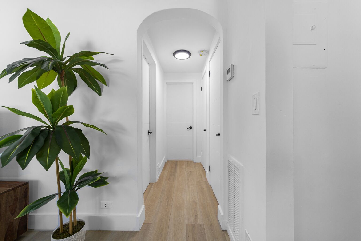 A narrow hallway with wooden flooring, white walls, and a potted plant on the left.