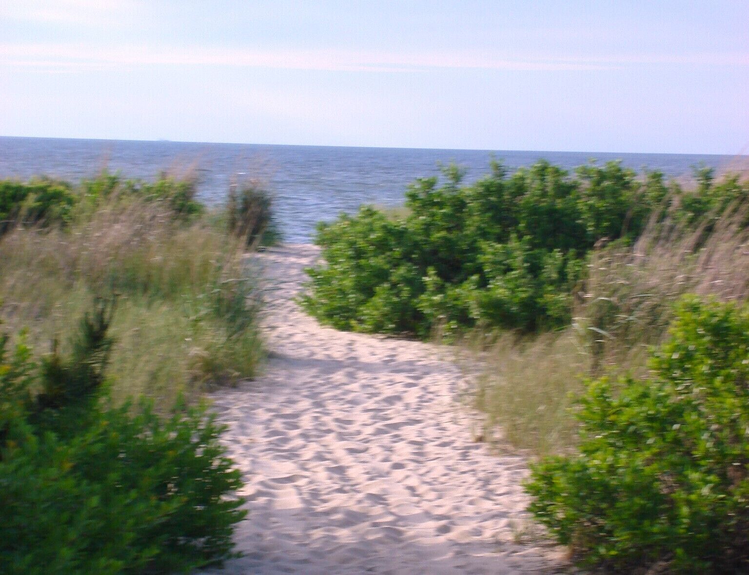 Just down the road & over the dunes