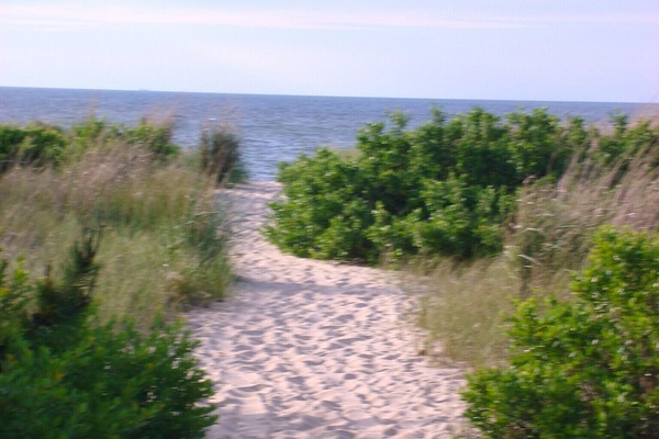 Playa