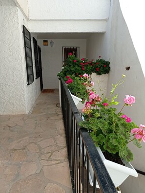 Exterior detail - Front line beach apartment Benidorm (Benidorm)