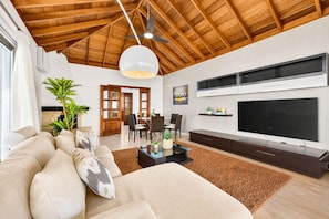 TV, fireplace
