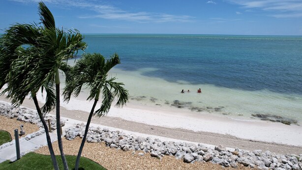 A beach with clear turquoise water, palm trees, and a rocky shoreline. - Private Beach Retreat! Luxurious Bedding, Relaxing Pool, Best Sunsets, Fast WiFi (Key Colony Beach)