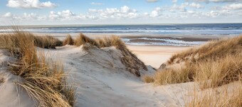 Lilyta A206 - beautiful studio in the heart of De Haan - 130 m from the beach