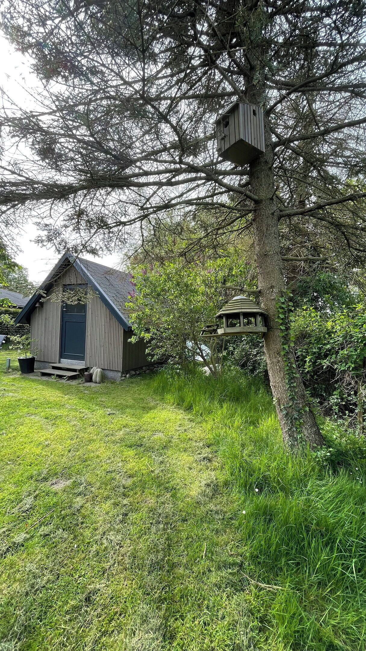A rustic wooden cabin with a sloped roof, a small porch, and a birdhouse attached to a tree.