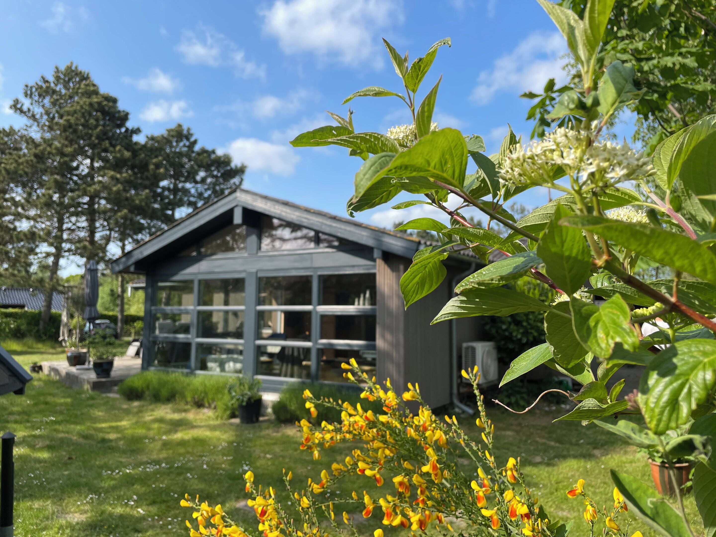 A modern house with large windows, a sloped roof, and a garden with yellow flowers.