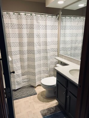 Hair dryer, towels, soap, toilet paper - Beautiful Camelback Views, Mountain - New Renovated 3-Bed / 2-bath home (Tannersville)