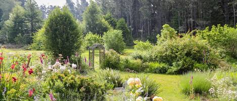 Overnatningsstedets område