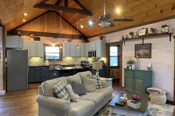 Smart TV, chimenea, libros