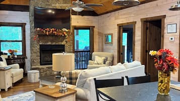 Smart TV, fireplace, books