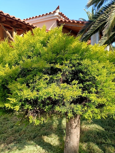 TRADITIONAL STUDIOS IN NATURE'S BEAUTY, FOR RELAXING FAMILY HOLIDAYS