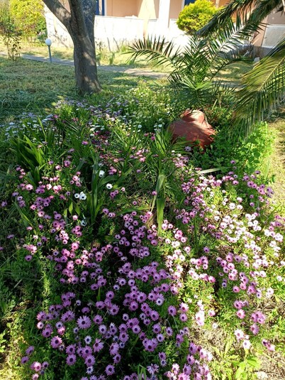 TRADITIONAL STUDIOS IN NATURE'S BEAUTY, FOR RELAXING FAMILY HOLIDAYS