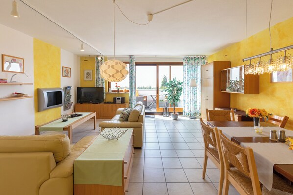 TV, fireplace, DVD player, books