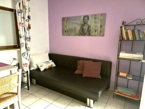 Télévision, cheminée, lecteur de DVD, livres