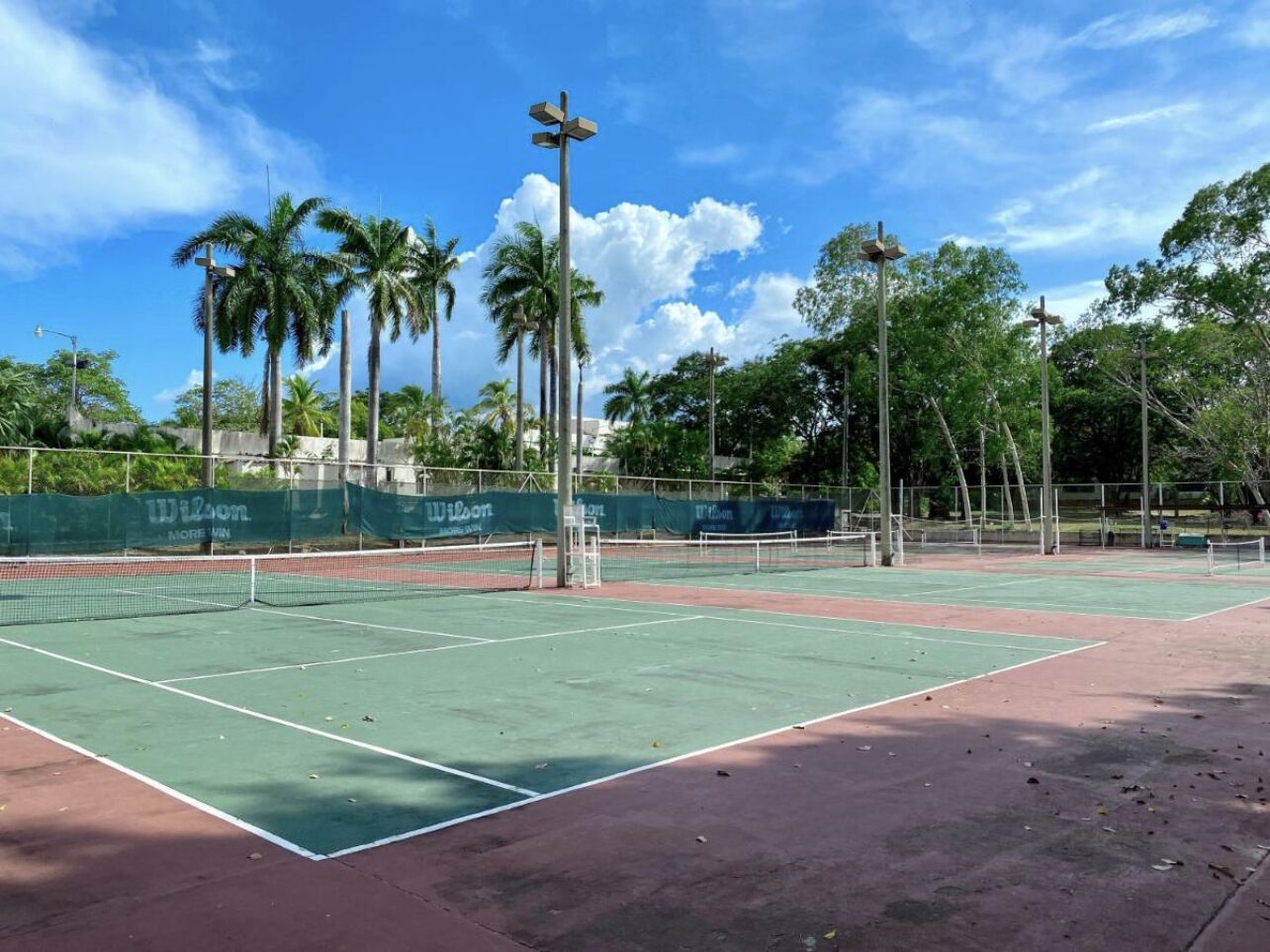 Una cancha de tenis con una red, rodeada de palmeras y una valla.