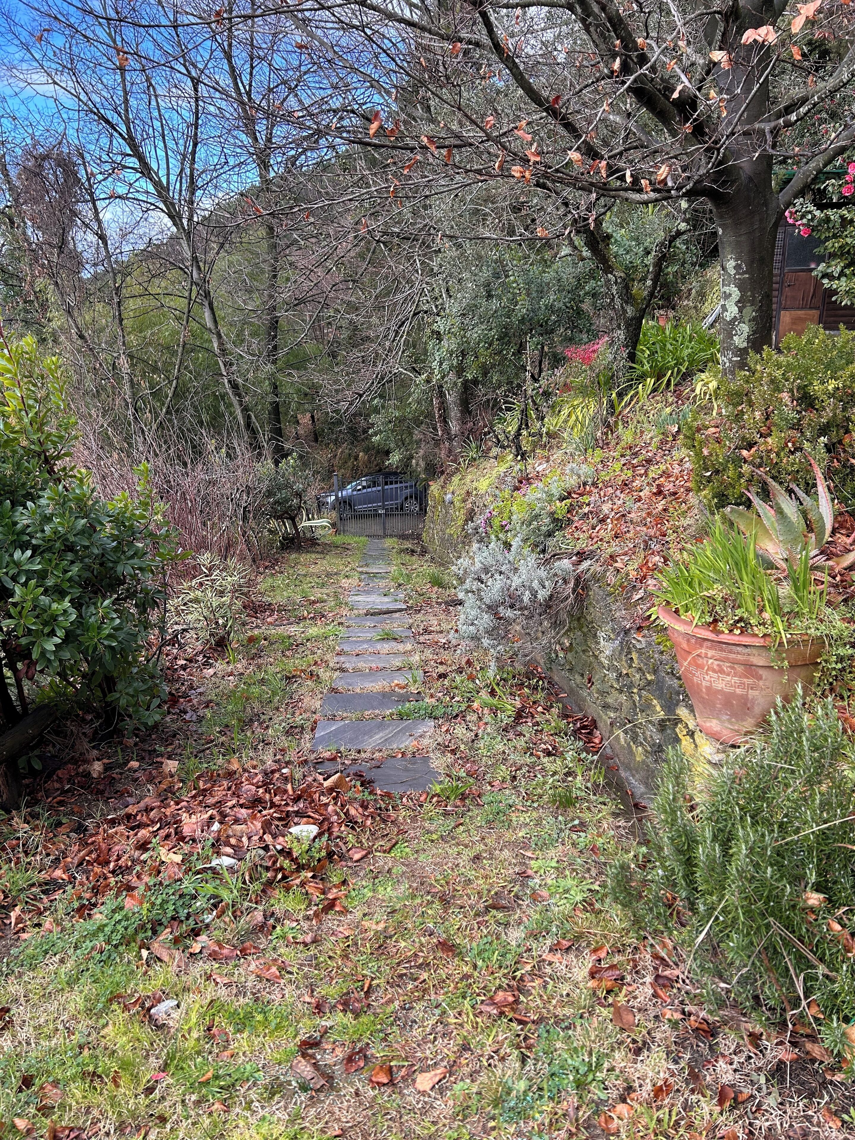 Parco della struttura