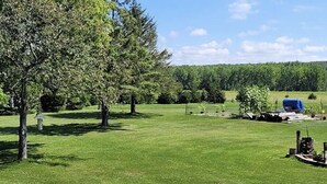 Un champ herbeux avec des arbres et, au loin, une bâche bleue.