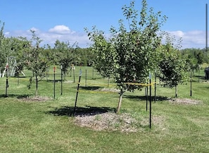 Beautifully manicured garden with young trees and a low fence.