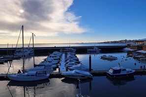 A marina with boats docked, a pier extending into the water, and a distant shoreline with buildings.