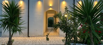 Two-room apartment in a field of olive trees
