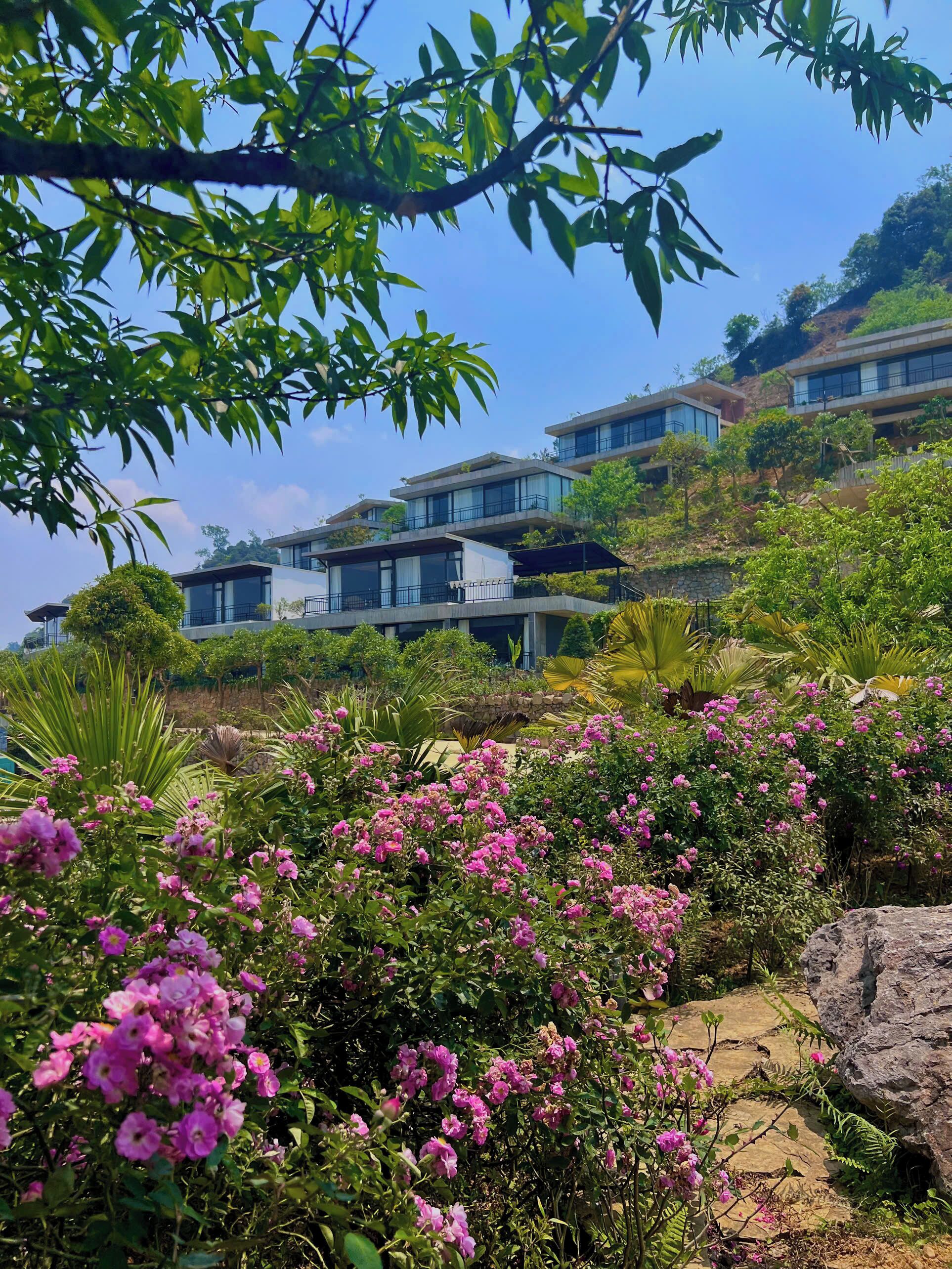 واجهة المنشأة