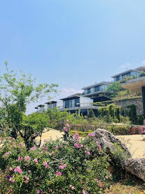 Vista da propriedade