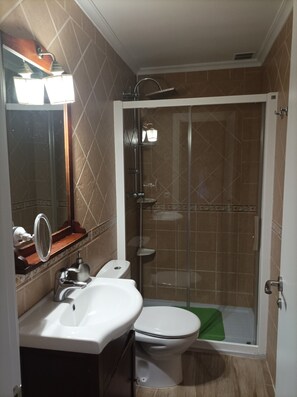 Shower, hair dryer, bidet, towels